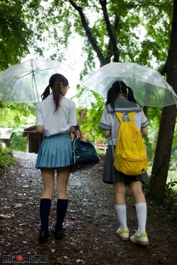 雨打梨花po问鲸